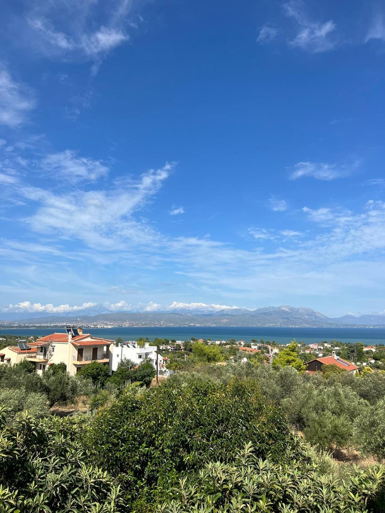 Xenia'S Seaview House Villa Paralia Avlidhos Exteriör bild